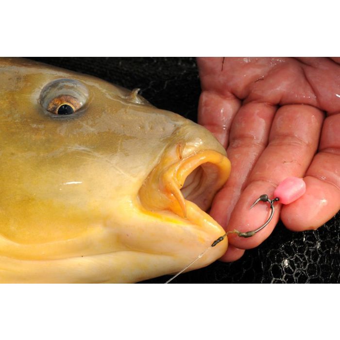 Korda Pop-Up Maize 6