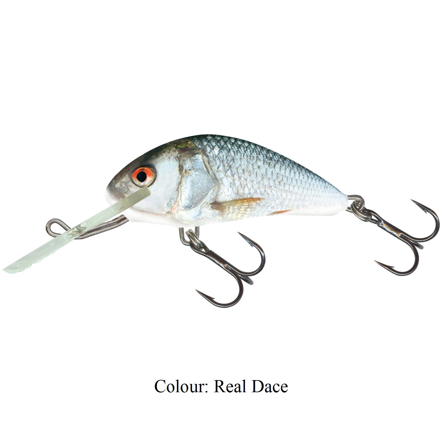 Salmo Hornet 4cm Floating Lure Real Dace
