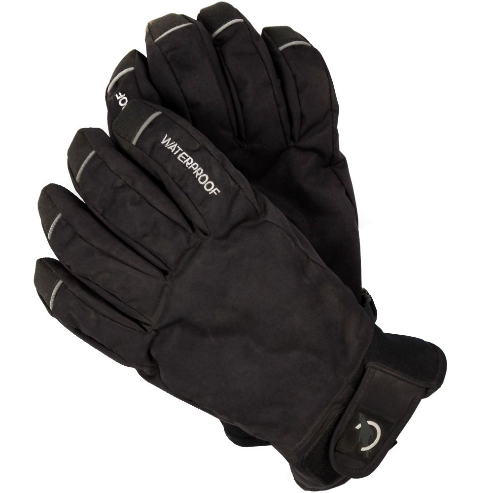 Sealskinz Winter Glove