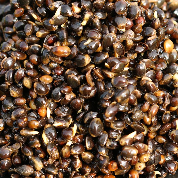 Le Chanvre de l'Advanta 500g Handy Pack Natural Hemp 1