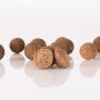 Nash Scopex Squid Stabilised Boilies Dynamic Carp Bait