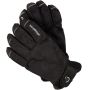 Sealskinz Winter Glove
