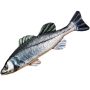 Gaby Fish Pillows The European Sea Bass