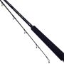 Daiwa Saltiga Boat Rod