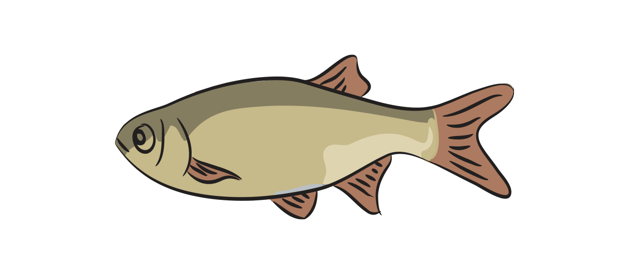 Le Rudd / Le Rotengle