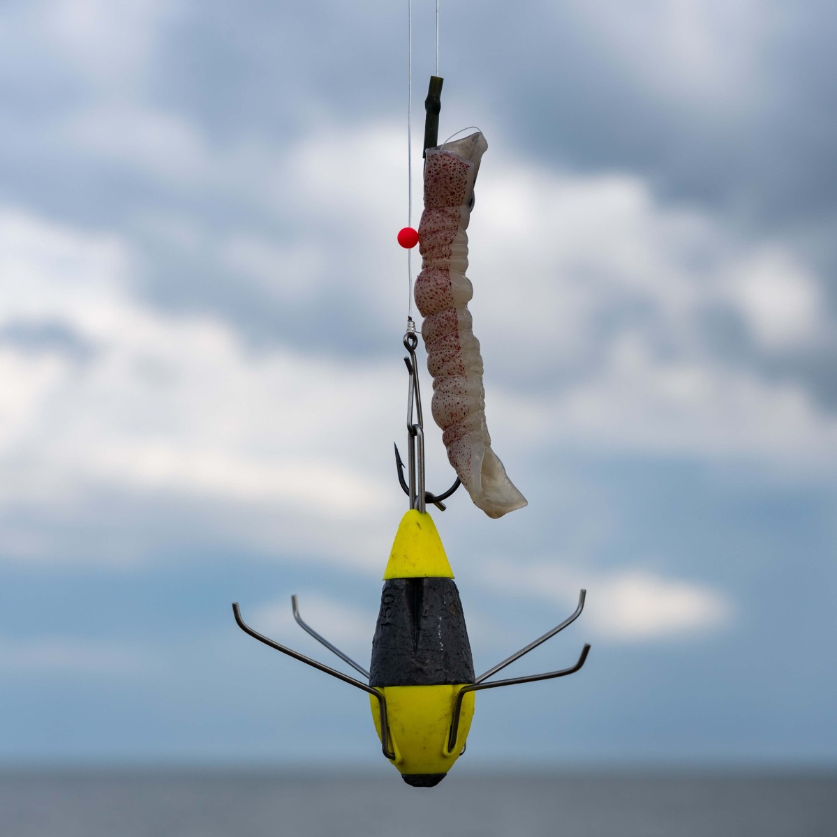 Montage flotteur et appat frais