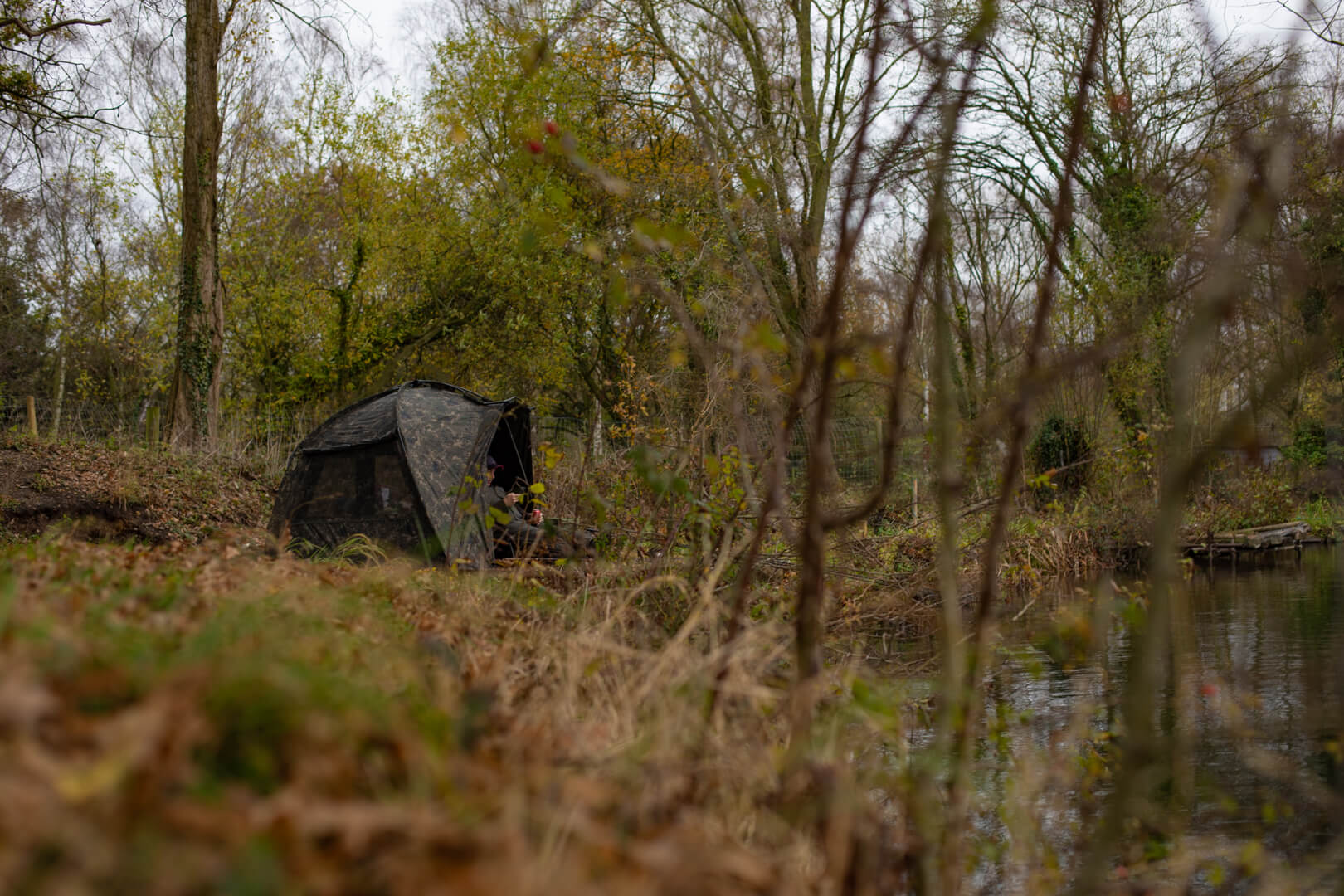 Camping en plein air dans les bois Camping en plein air dans les bois