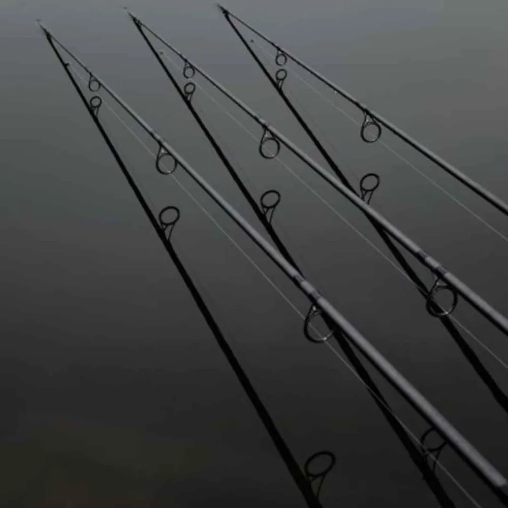 3 bout de Canne à Pêche 