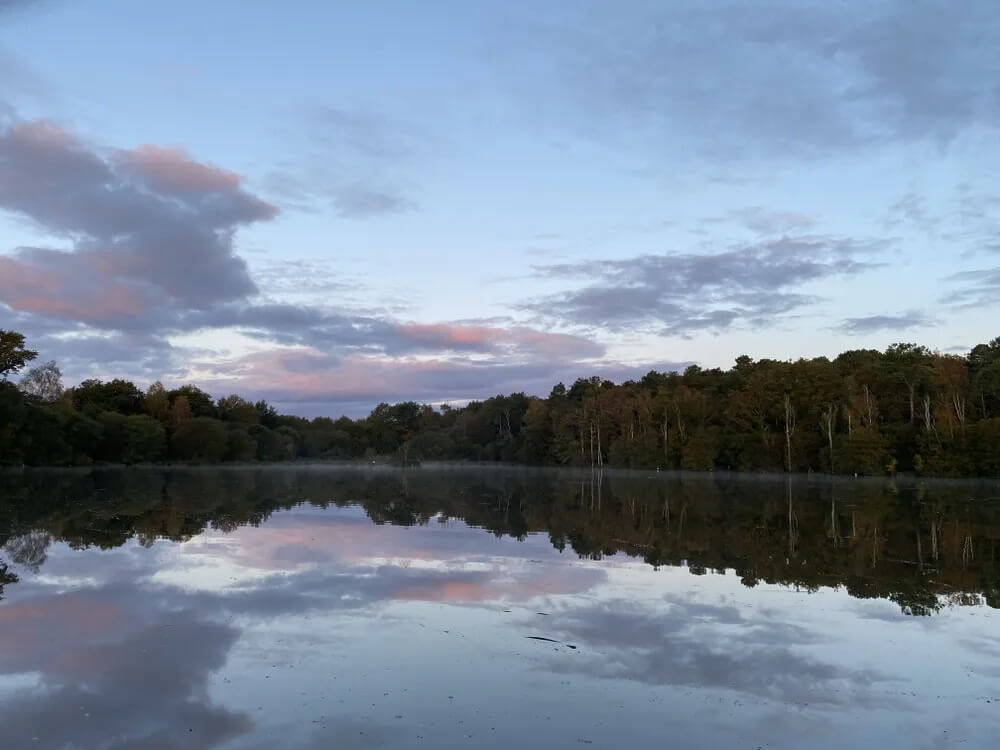 Vue du Lac Brittany Mill - Voyage de Pêche Carpe Vue du Lac Brittany Mill - Voyage de Pêche Carpe